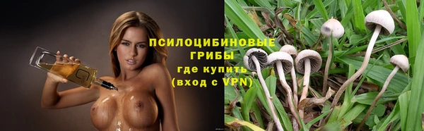 ГАЛЛЮЦИНОГЕННЫЕ ГРИБЫ Верхнеуральск