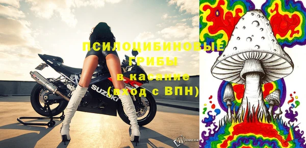 ГАЛЛЮЦИНОГЕННЫЕ ГРИБЫ Верхнеуральск