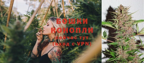 ГАЛЛЮЦИНОГЕННЫЕ ГРИБЫ Верхнеуральск
