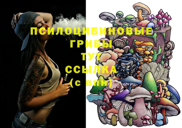 spice Волоколамск