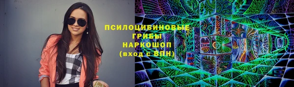 сатива Верея