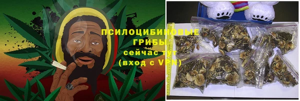 ГАЛЛЮЦИНОГЕННЫЕ ГРИБЫ Верхнеуральск