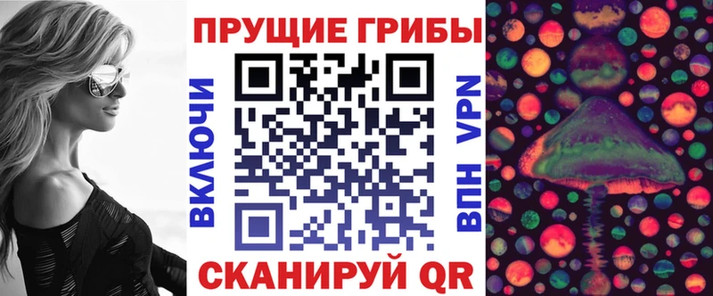 blacksprut зеркало  Магнитогорск  Галлюциногенные грибы Cubensis 